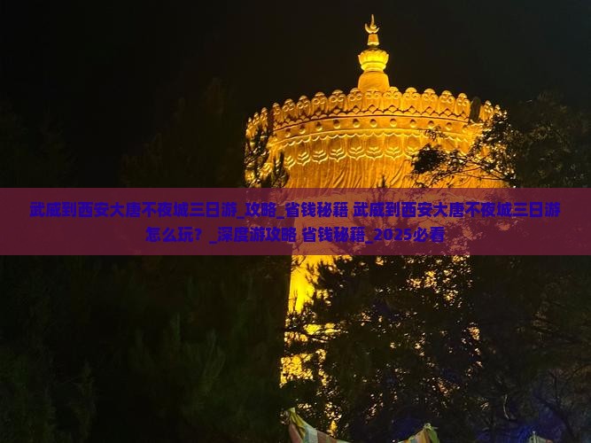 武威到西安大唐不夜城三日游