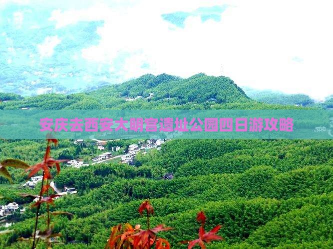 安庆去西安大明宫国家遗址公园四日游