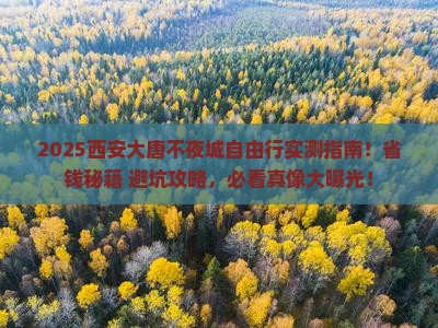 汕尾去西安大唐不夜城自由团