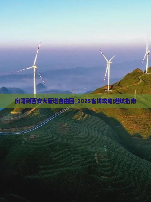 衡阳到西安大雁塔自由团