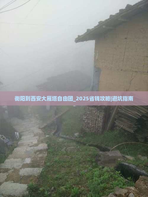 衡阳到西安大雁塔自由团