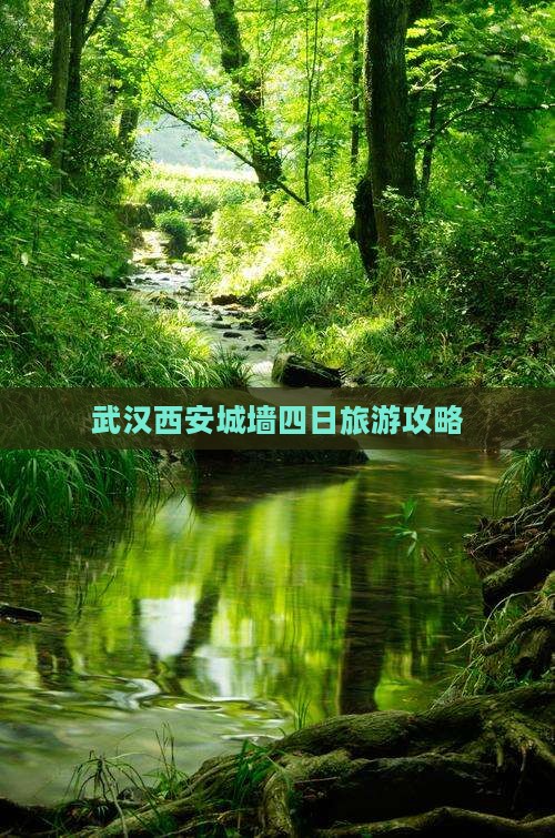武汉去西安城墙四日游