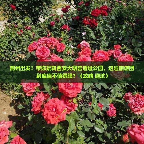 荆州去西安大明宫国家遗址公园大型旅游团