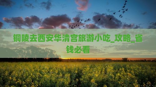 铜陵去西安华清宫旅游小吃