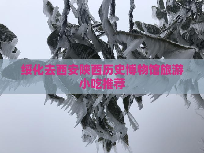 绥化去西安陕西历史博物馆旅游小吃
