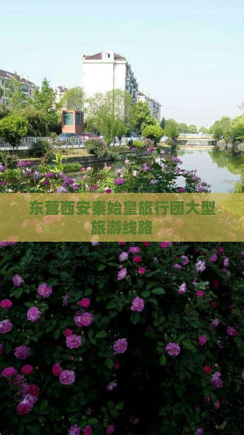 东营去西安秦始皇帝陵博物院大型旅游团