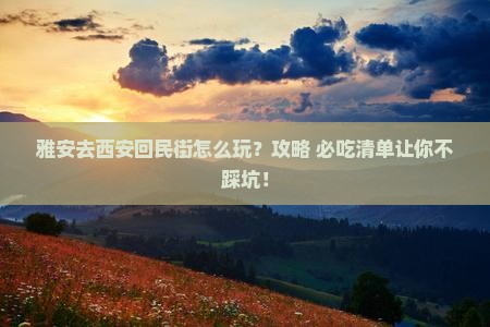 雅安去西安回民街景点