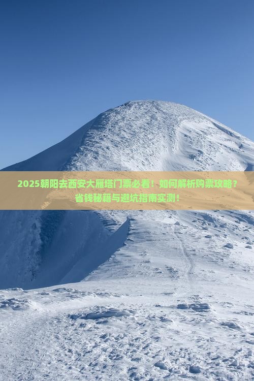 朝阳去西安大雁塔门票