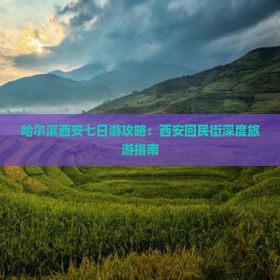 哈尔滨去西安回民街七日游