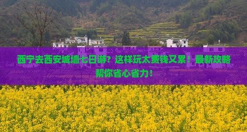 西宁去西安城墙七日游