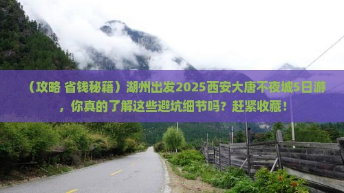 湖州到西安大唐不夜城旅游