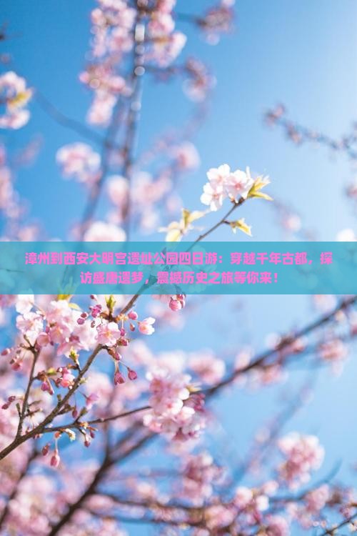 漳州到西安大明宫国家遗址公园四日游