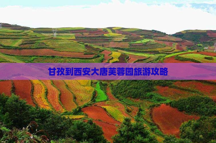 甘孜到西安大唐芙蓉园旅行社