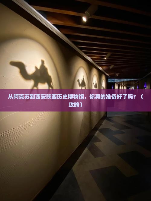 阿克苏到西安陕西历史博物馆旅游