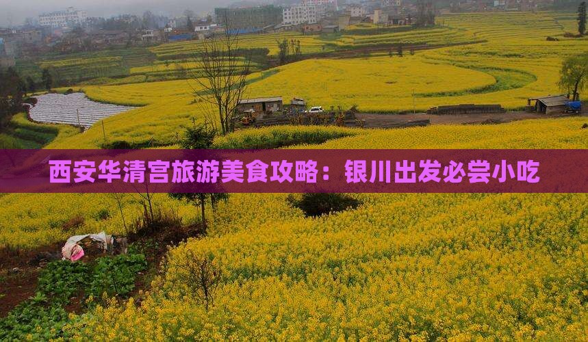银川去西安华清宫旅游小吃