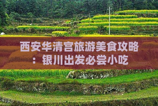 银川去西安华清宫旅游小吃