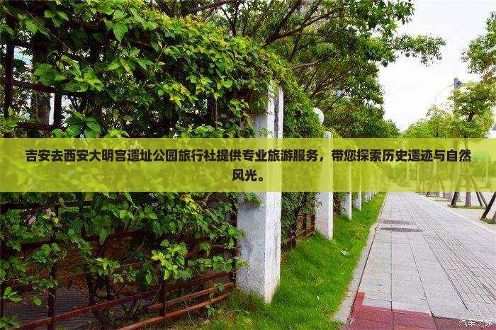 吉安去西安大明宫国家遗址公园旅行社