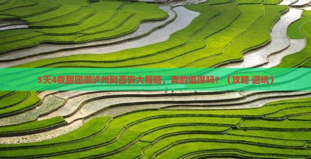 泸州到西安大雁塔大型旅游团