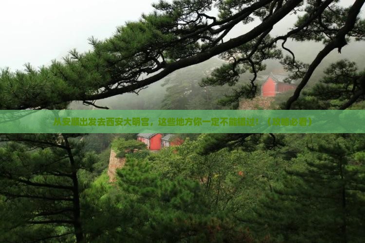 安顺去西安大明宫国家遗址公园必去地