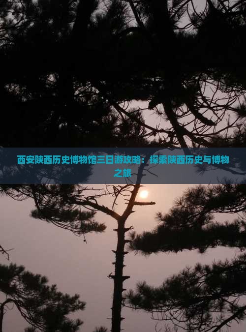 昌吉去西安陕西历史博物馆三日游