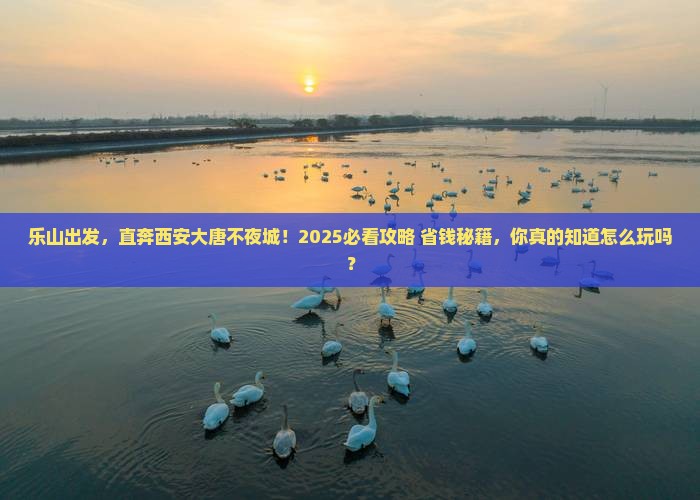 乐山到西安大唐不夜城团体旅游