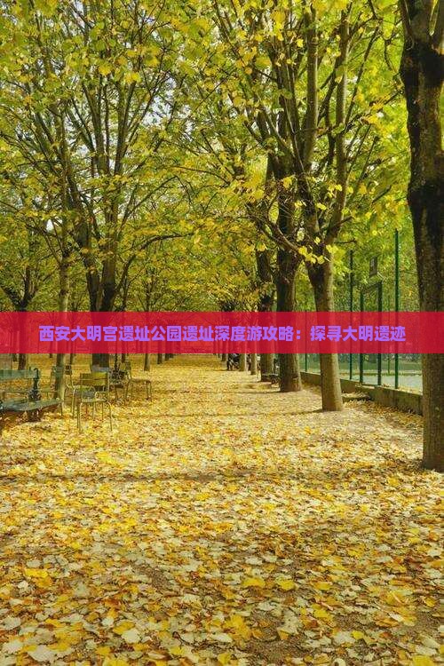 西安大明宫遗址公园遗址深度游攻略：探寻大明遗迹