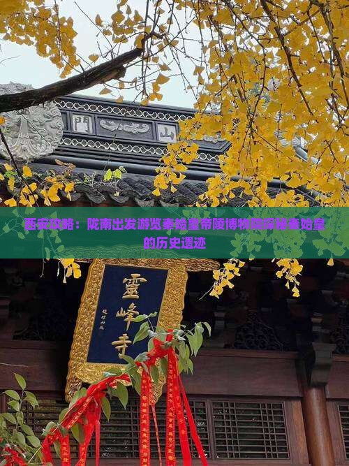 西安攻略：陇南出发游览秦始皇帝陵博物院探秘秦始皇的历史遗迹