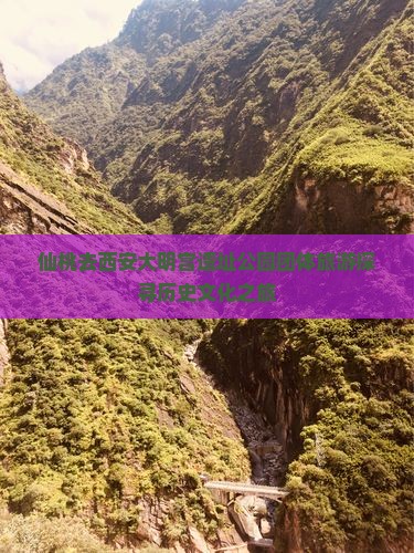 仙桃去西安大明宫遗址公园团体旅游探寻历史文化之旅