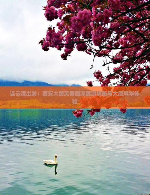 连云港出发：西安大唐芙蓉园深度游攻略与大唐风华体验