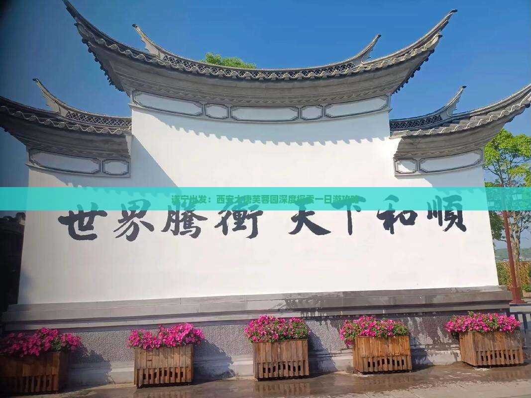 遂宁出发:西安大唐芙蓉园深度探索一日游攻略 遂宁出发:西安大唐芙蓉园深度探索一日游攻略