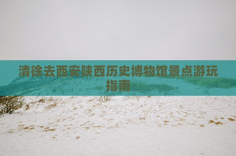 清徐去西安陕西历史博物馆景点游玩指南