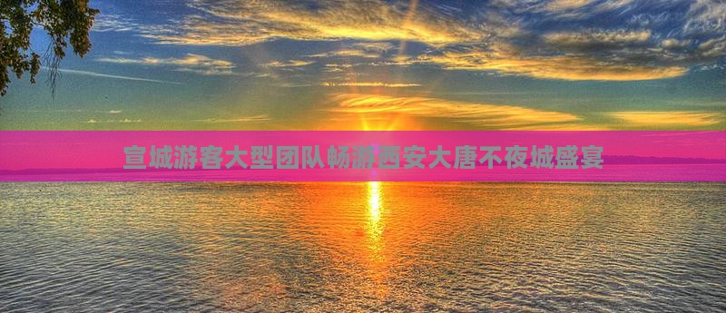 宣城游客大型团队畅游西安大唐不夜城盛宴