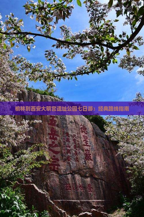 榆林到西安大明宫遗址公园七日游：经典路线指南