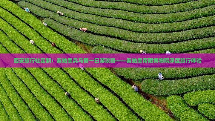 西安旅行社定制：秦始皇兵马俑一日游攻略——秦始皇帝陵博物院深度旅行体验