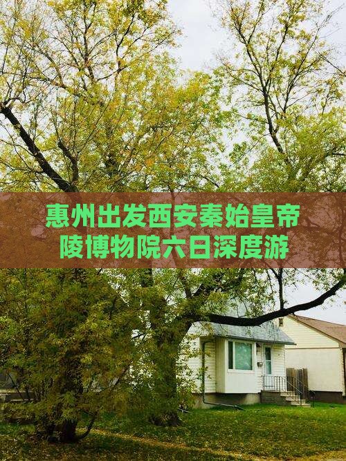 惠州出发西安秦始皇帝陵博物院六日深度游