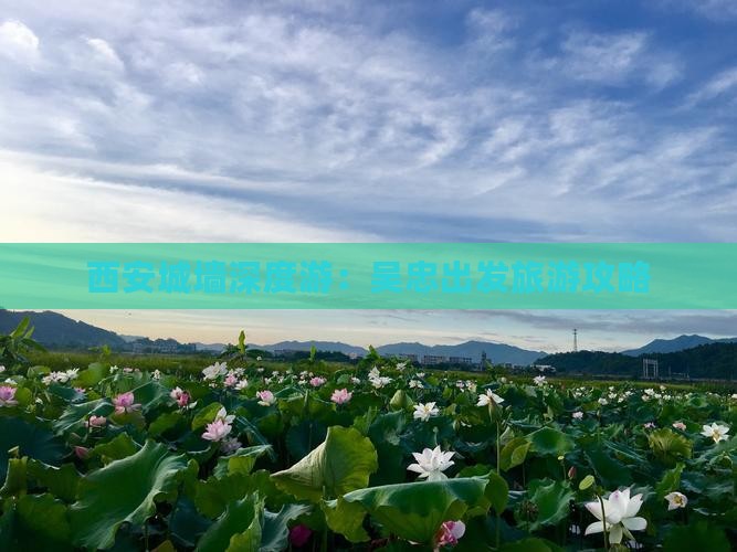 西安城墙深度游：吴忠出发旅游攻略