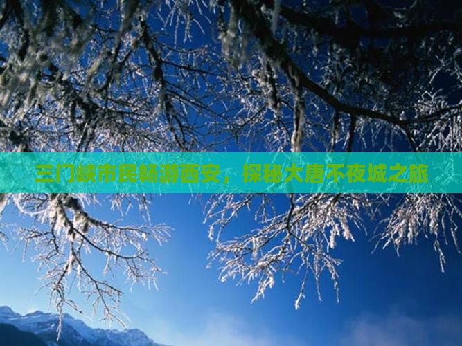 三门峡市民畅游西安，探秘大唐不夜城之旅