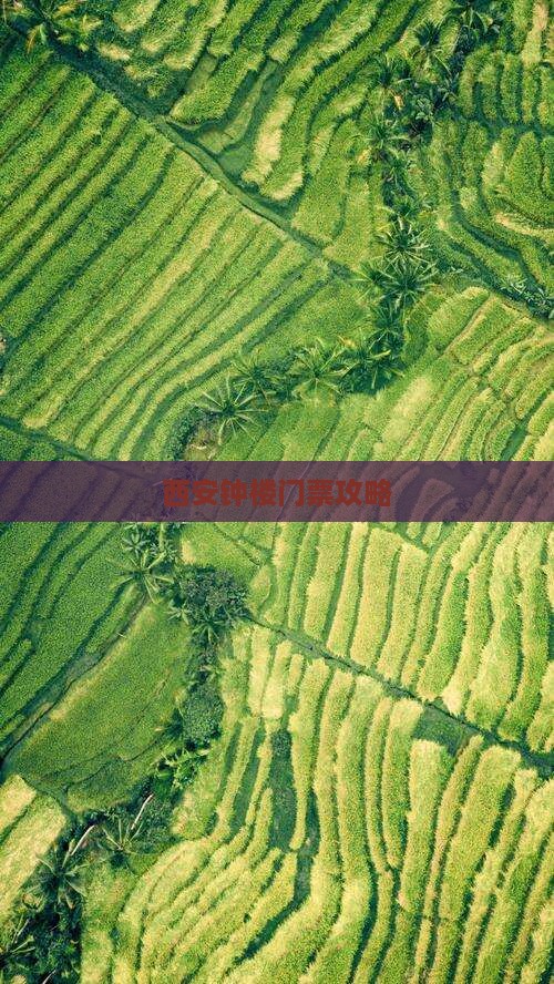 西安钟楼门票攻略