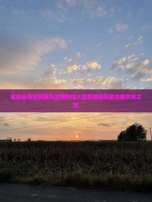 成都去西安陕西历史博物馆大型旅游团探索古都文化之旅