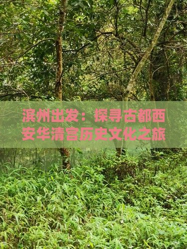 滨州出发：探寻古都西安华清宫历史文化之旅