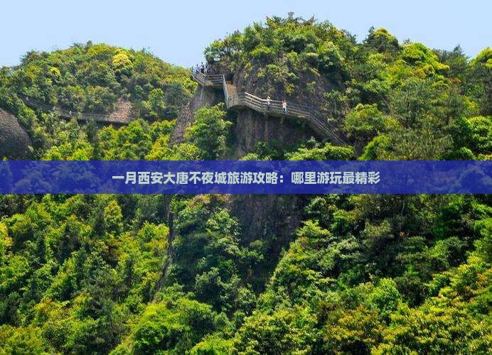 一月西安大唐不夜城旅游攻略：哪里游玩最精彩