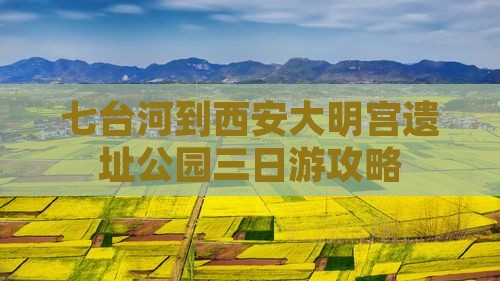 七台河到西安大明宫遗址公园三日游攻略