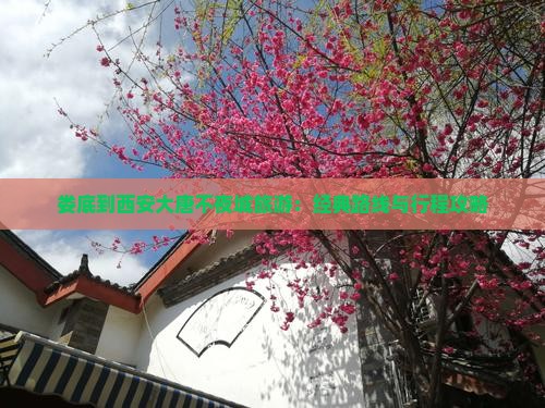 娄底到西安大唐不夜城旅游：经典路线与行程攻略