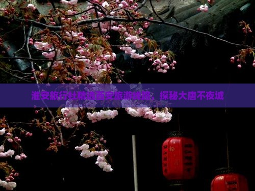 淮安旅行社精选西安旅游线路，探秘大唐不夜城