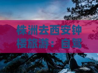 株洲去西安钟楼旅游：自驾游路线与详细攻略