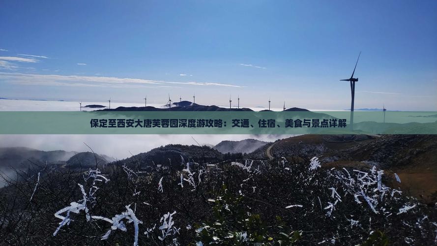 保定至西安大唐芙蓉园深度游攻略：交通、住宿、美食与景点详解