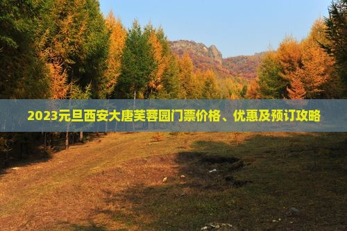 2023元旦西安大唐芙蓉园门票价格、优惠及预订攻略