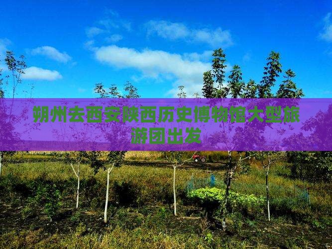 朔州去西安陕西历史博物馆大型旅游团出发