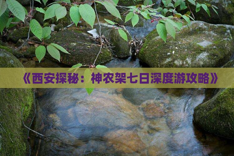 《西安探秘：神农架七日深度游攻略》