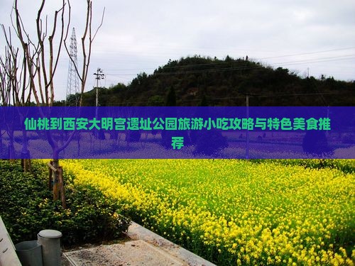 仙桃到西安大明宫遗址公园旅游小吃攻略与特色美食推荐